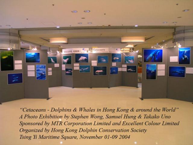 Cetacean Exhibition sponsored by MTR Corporation, Tsing Yi Island, Hong Kong 2004.  Images by myself, Stephen & Mr. Samuel H