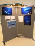 Cetacean Exhibtion. Here, showing Stephen & my images.