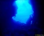 Tuna Cave, Dogtooth Tunas & Diver 01