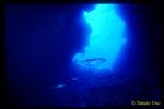 Tuna Cave & Dogtooth Tunas 01