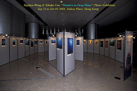 スティーブン・ウォン & 宇野貴子＊水中写真展＊[Wonders in Deep Waters] Exhibition Hall Oct 2003 @ HK