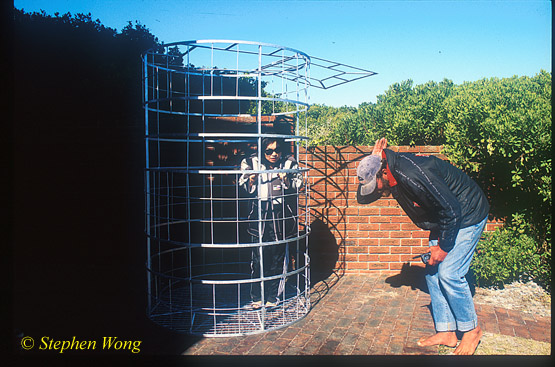 Takako 02, Shark Man Andre & Cage:  In 1999 South Africa, my first time in Shark cage, while the world famous Andre Hartman