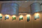 Our Photo Exhibition in Hong Kong. 水中写真展。照明がマッチしていました。