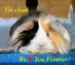 Yin chan, We Love You Forever!! * 時々寂しい思いさせてしまってゴメンネ・・・