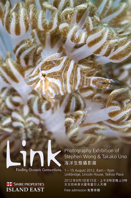 "Link" Photo Exhibition, Takako & Stephen, Aug 01 to 15 2012