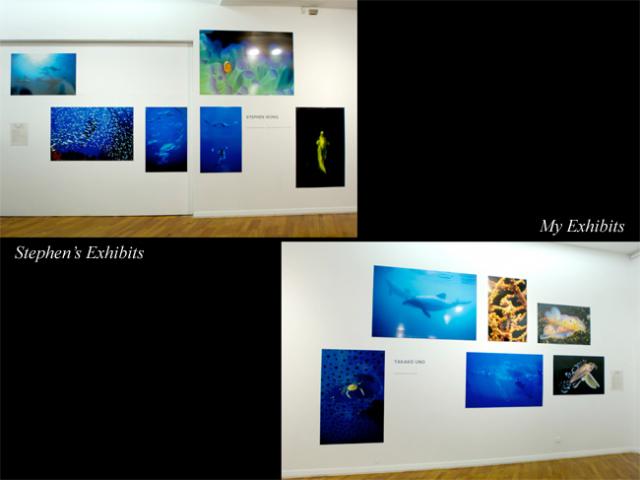 Oceans Expo (Lima, Peru) - some of Stephen's & my Exhibits for the event