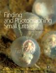 My article on "Finding & Photographing Small Critters", published in Fathoms (USA) Magazine.
