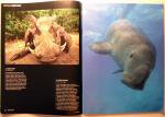 My Dugong image in BBC (UK) Wildlife Magazine, Special Portfolio