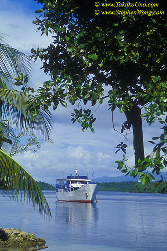 Spirit of Solomon, our mother dive boat 01